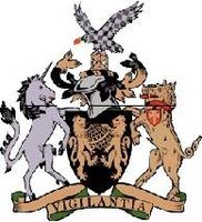 vigilante logo