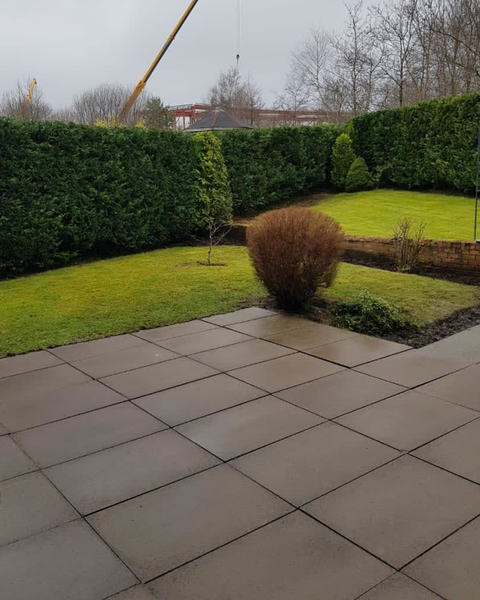 pruned hedges in a row