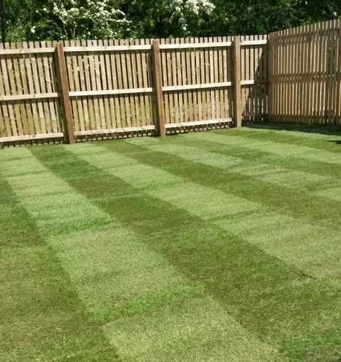 decking