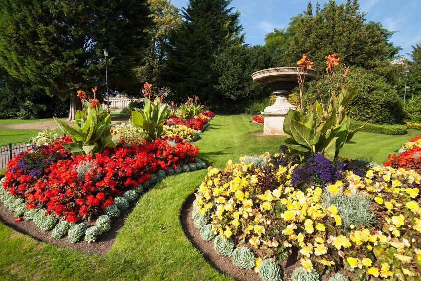 A well-tended domestic garden with a lawn