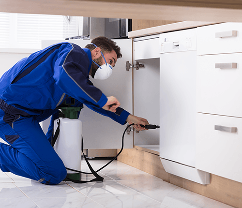 Man Spraying Pesticide in Kitchen — League City, TX — Metro Exterminating