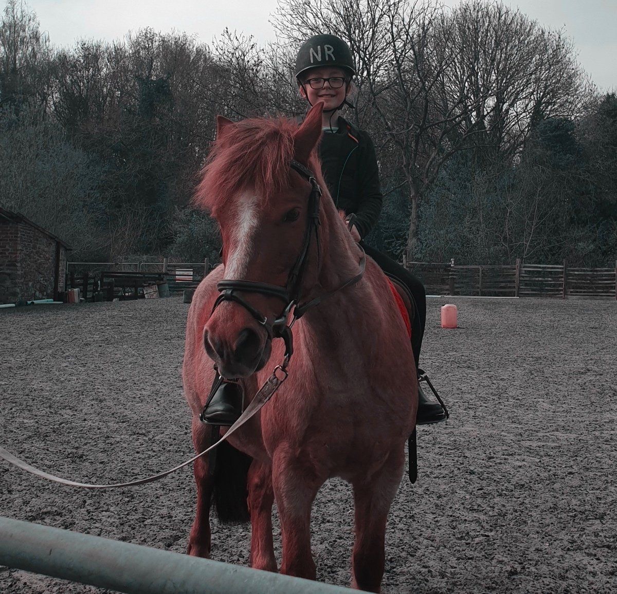 Engine Common Riding School Children's Horse Riding Lesson Yate, Bristol