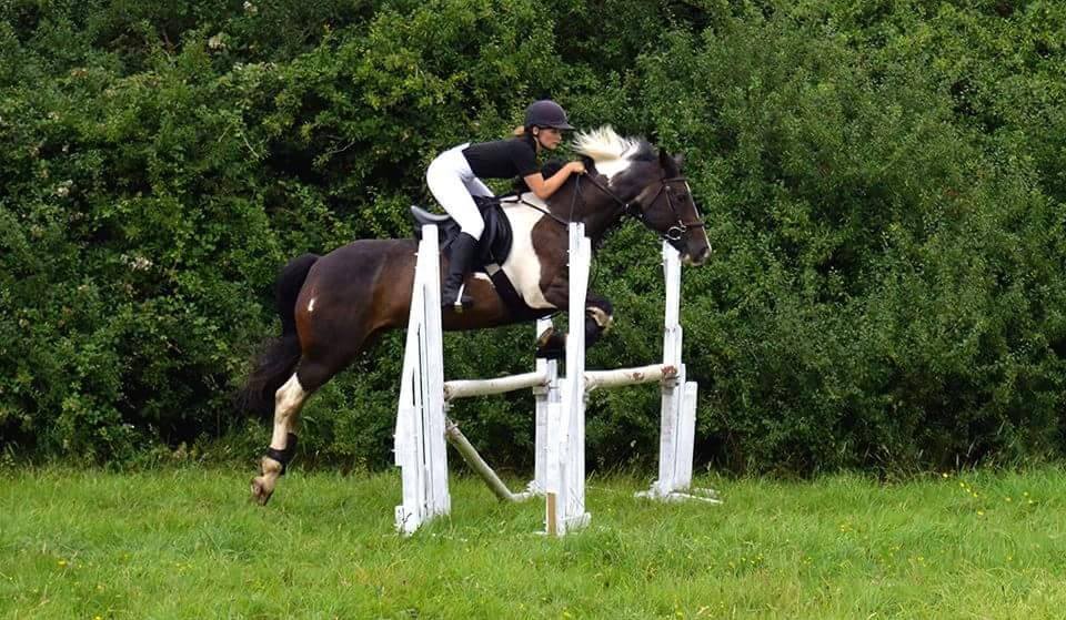 Children's Horse Riding Lesson  in Bristol & South Gloucestershire
