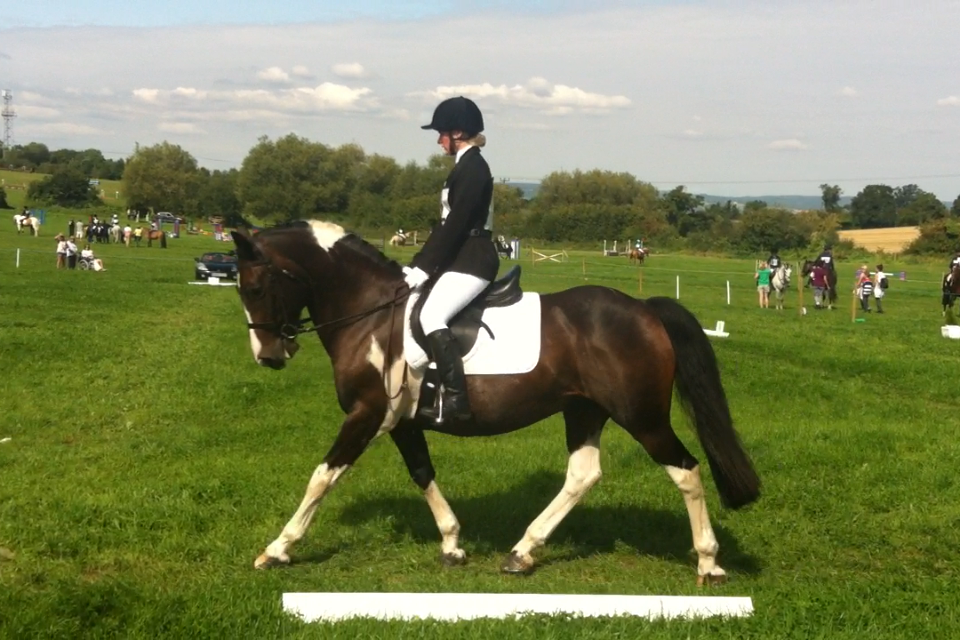 Children's Horse Riding Lesson  in Bristol & South Gloucestershire