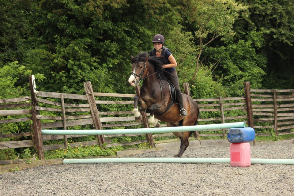 Horse Riding School Children's Riding Lesson Yate, Bristol