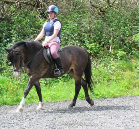 Children's Horse Riding Lesson Yate, Bristol