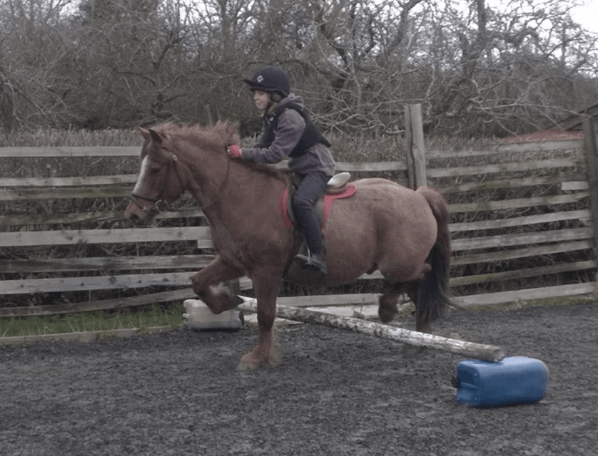 Children's Horse Riding Lesson  in Bristol & South Gloucestershire