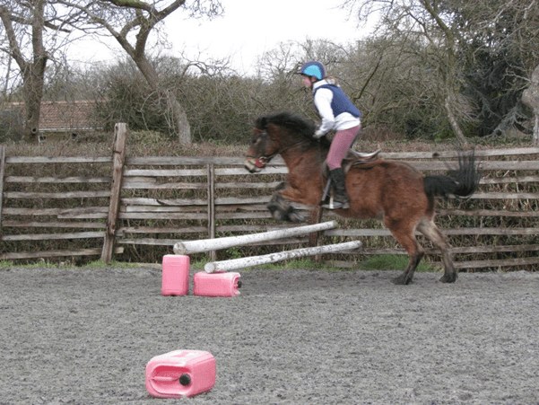 Horse Riding School Children's Riding Lesson Yate, Bristol