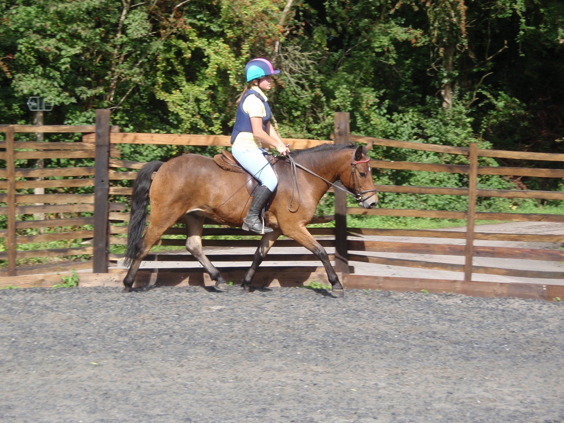 Engine Common Riding School Children's Horse Riding Lesson Yate, Bristol