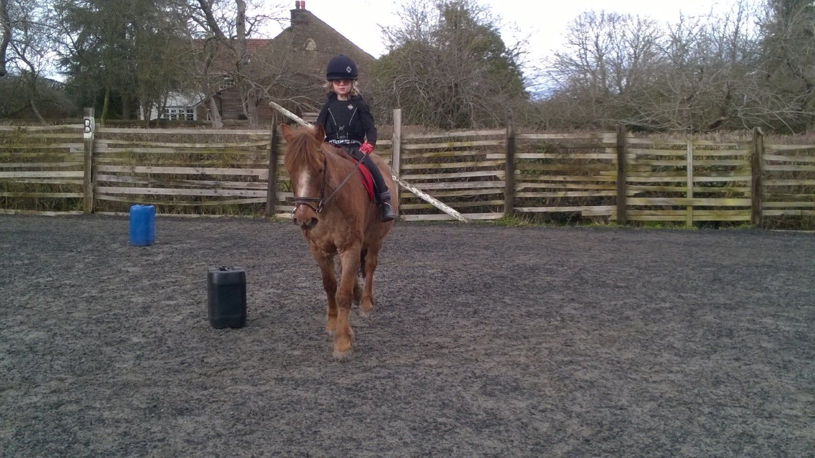 Children's Horser Riding Lesson  in Bristol & South Gloucestershire