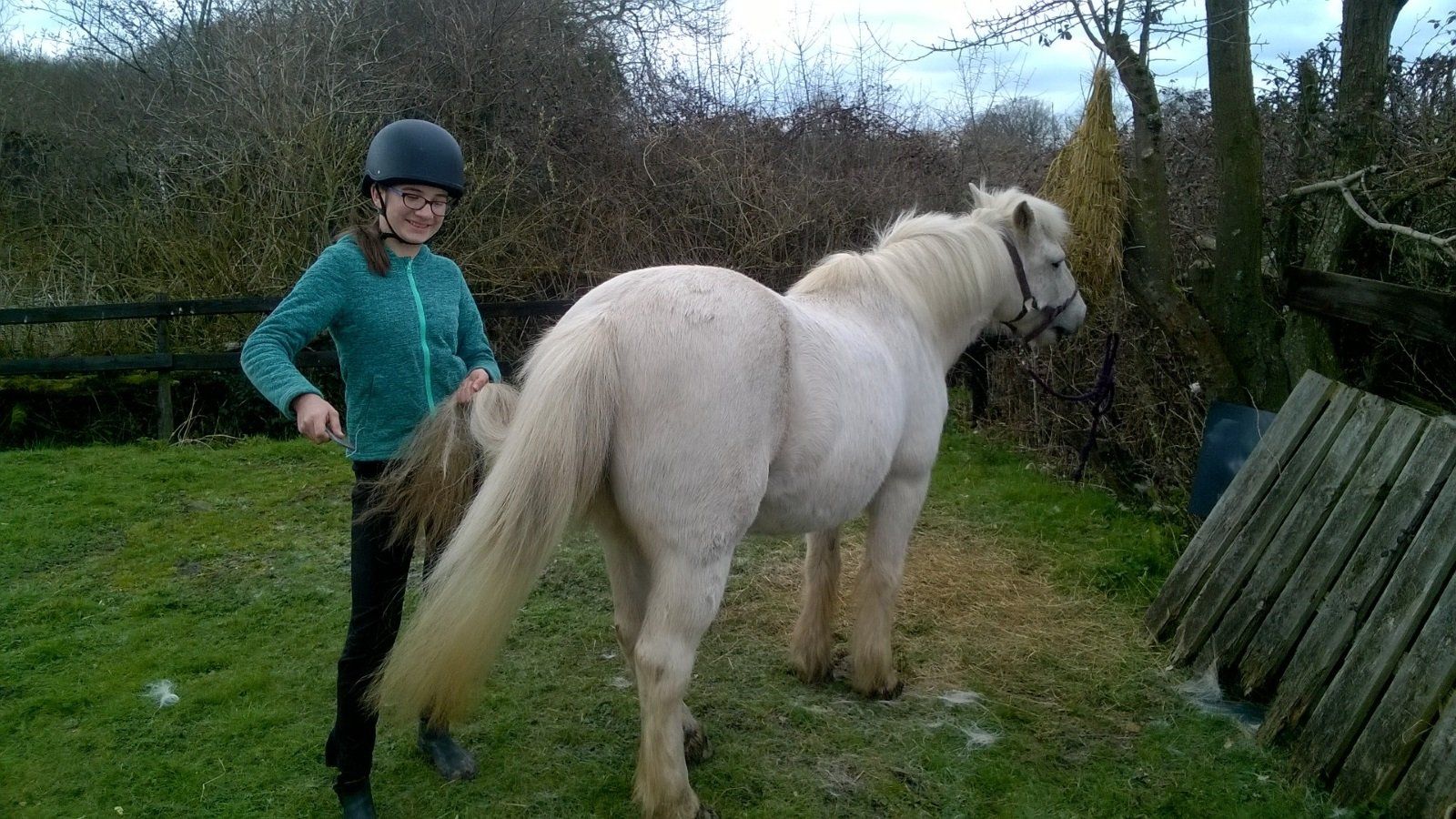 Children's Horse Riding Lesson, Stable Management  in Bristol & South Gloucestershire