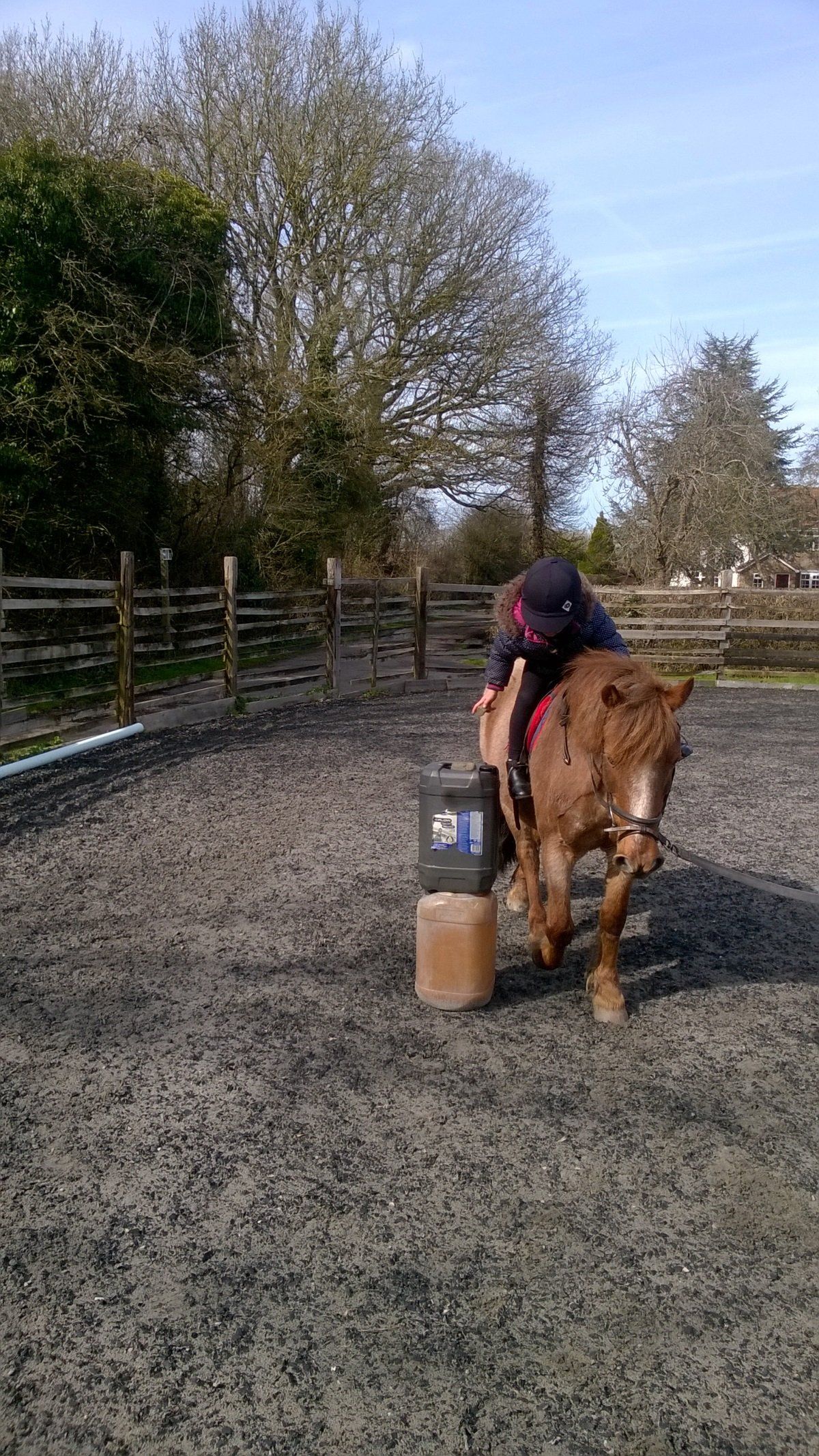 Children's Horse Riding Lesson in Bristol & South Gloucestershire