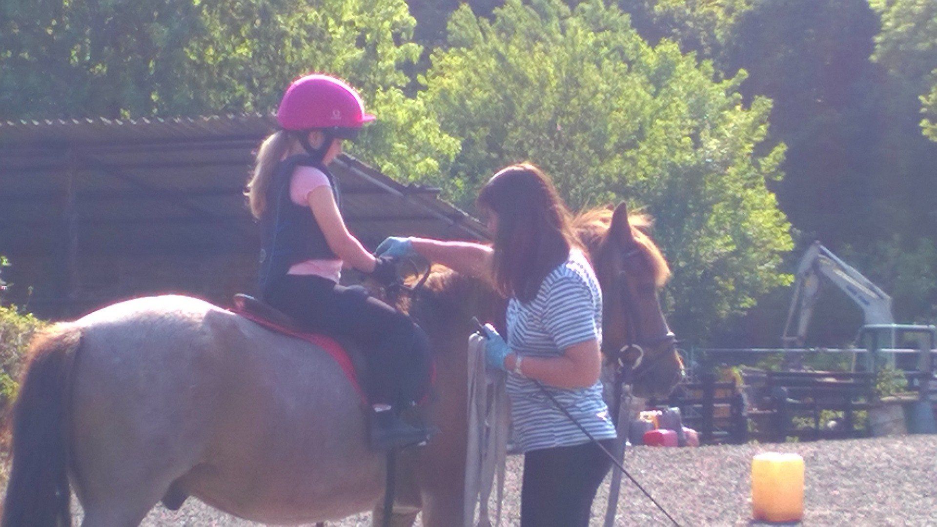Engine Common Riding School Children's Horse Riding Lesson Yate, Bristol