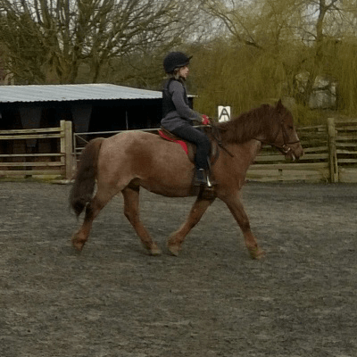 Children's Horse Riding Lesson  in Bristol & South Gloucestershire