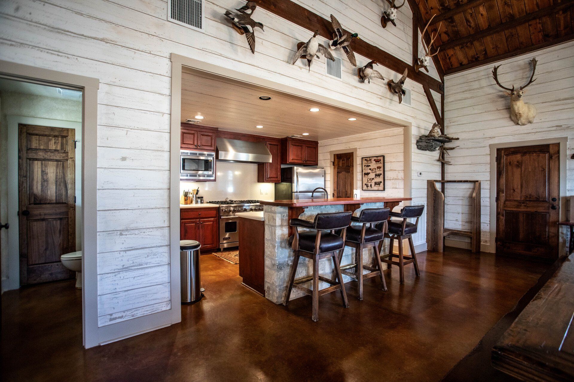 Rustic kitchen with bar stools, taxidermy, and stained concrete floors.
