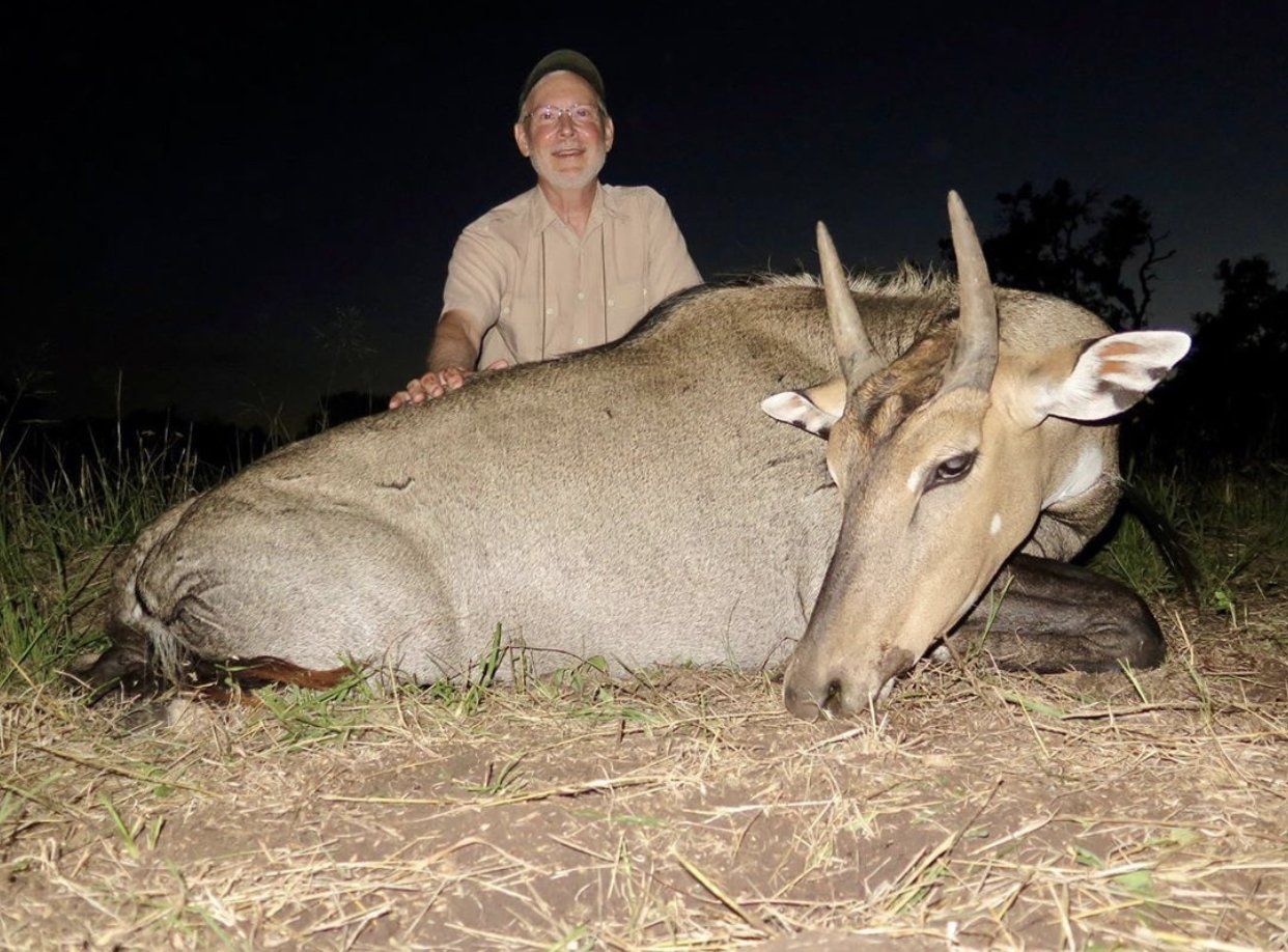 Man smiles next to a dead blue nilgai. Night setting, animal is gray, man is in khaki.