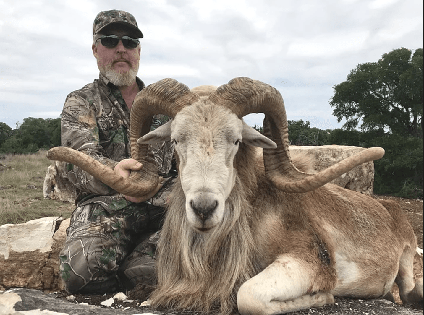 Man in camo with large ram, outdoors. Ram has large, curved horns.
