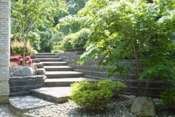 Plant Nursery — Landscaping and Hardscaping in Morganville, NJ Plant Nursery — Landscaping and Hardscaping in Morganville, NJ