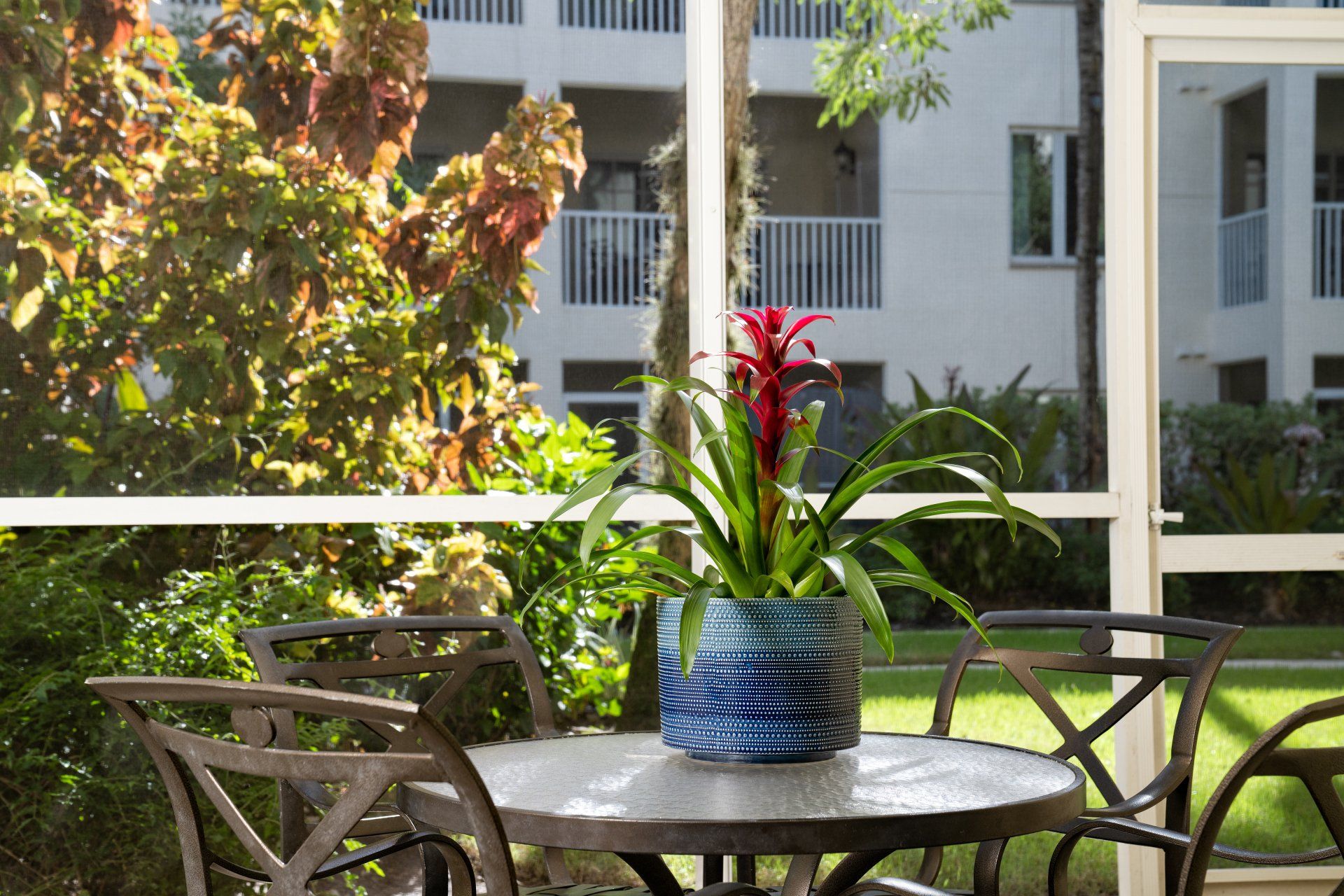 Patio table with blue potted red flowers beside chairs, overlooking apartment building and greenery