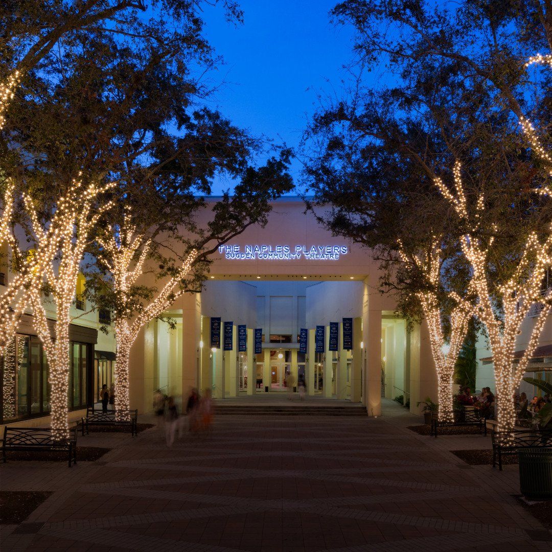 Lit walkway lined with trees wrapped in white lights leading to a lit building at dusk