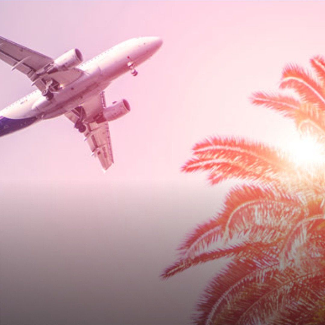 Passenger jet flying overhead beside palm trees in a pink-tinted sky