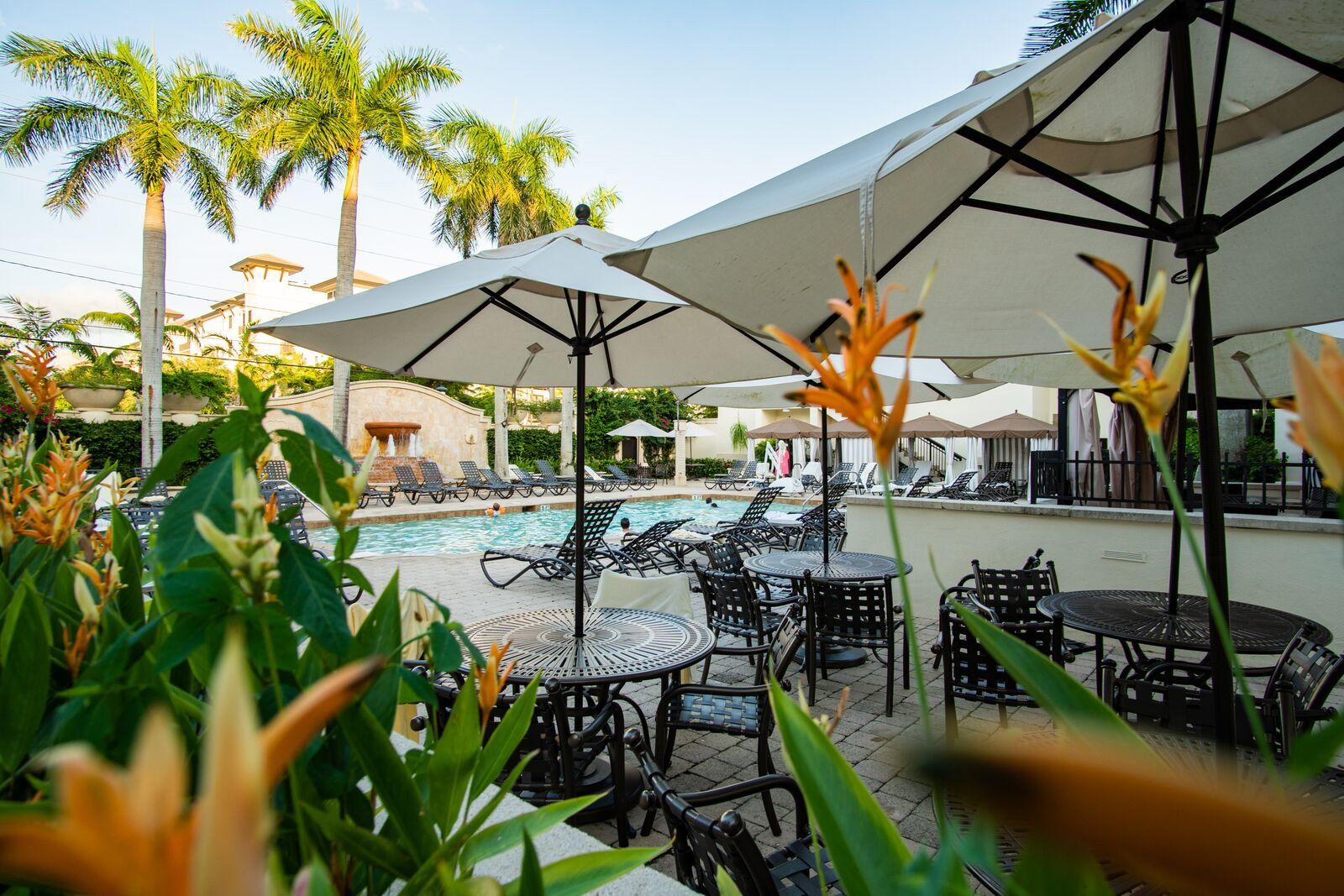 Outdoor poolside patio with umbrellas, tables, and tropical plants in a sunny resort setting