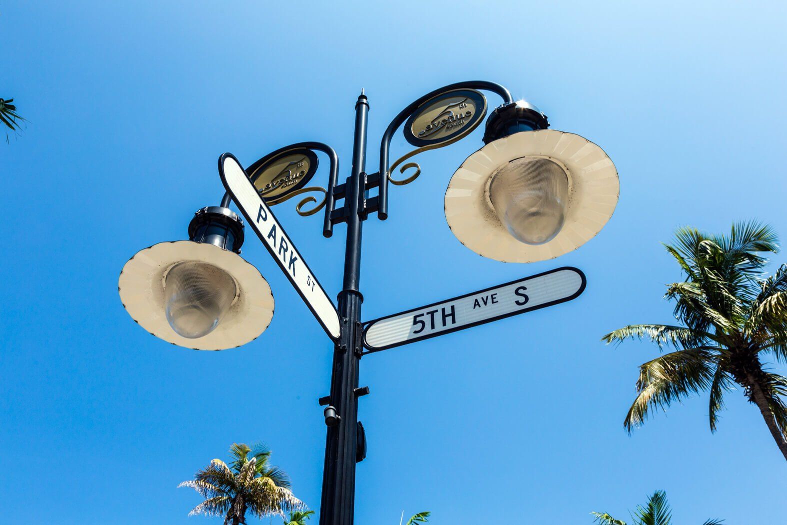 Street lamp and 5th St sign against a bright blue sky with palm trees.
