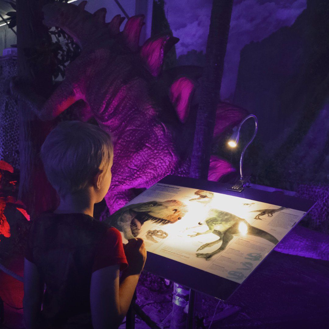 Child viewing a brightly lit dinosaur exhibit panel in a purple-lit museum display