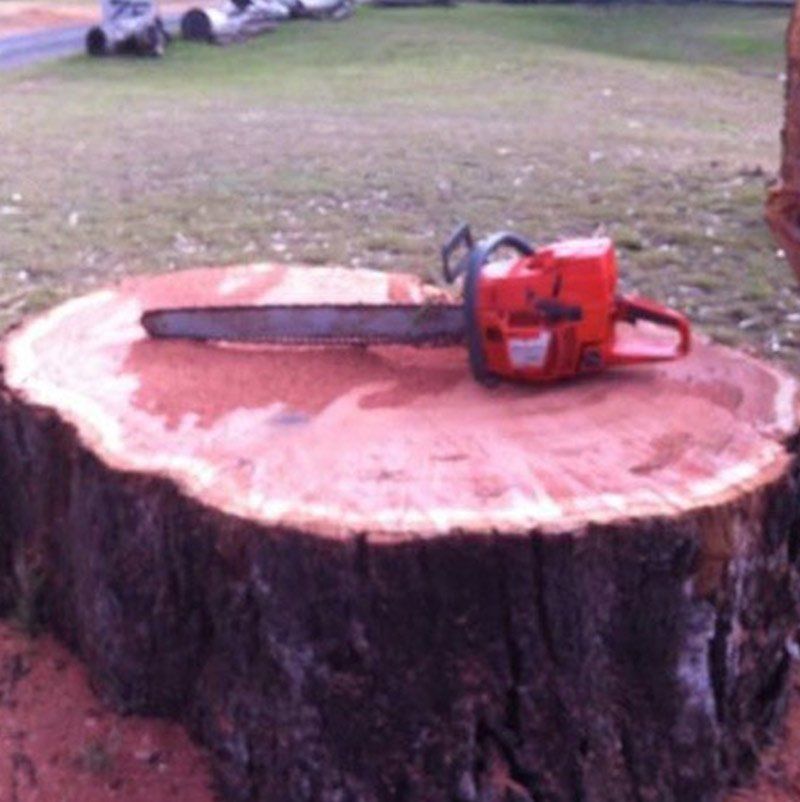 chainsaw on a stump