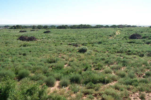 Billy the Kid Dr. 88 acres