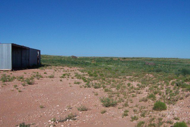 Billy the Kid Dr. 88 acres