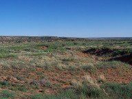 What a view! - 10 acres - River Ranches Subdivision - Only $13,500