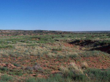 Tract 71 at River Ranches: