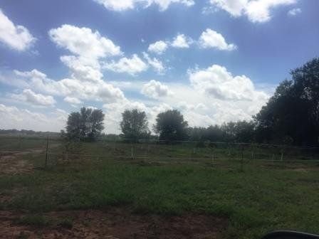 land