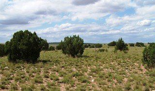 Tract 50, River Ranches 10 acres of beautiful NM native gramma grass & cedars. Imagine waking up to awesome sunrises every day. Plan for your future; plan your retirement dream home today. Price: Originally sold for $22,000 SOLD