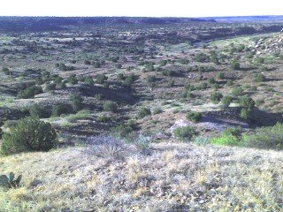 $15,900 - Tract 71 River Ranches Development