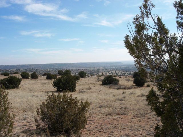 #15 at River Ranches - 20 acres