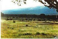 SOLD Gillum Ranch - Pinon NM