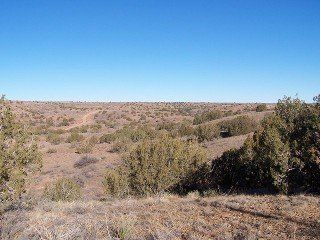 #88 River Ranches raw land ready for development