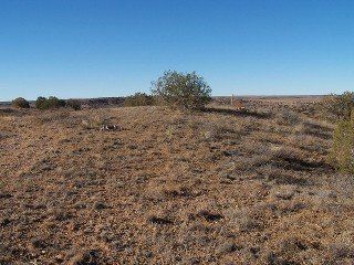#88 River Ranches raw land ready for development