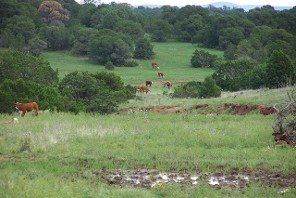 Peters Ranch - Lincoln County