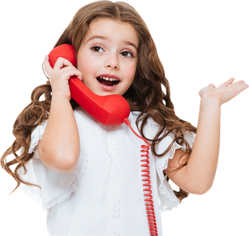 Affordable and Reliable Rural Home Phone Service in Ontario & Quebec | Canadaconnex