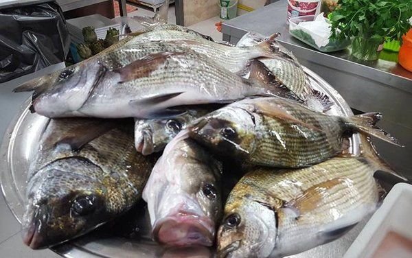 pesce fresco nella cucina del ristorante