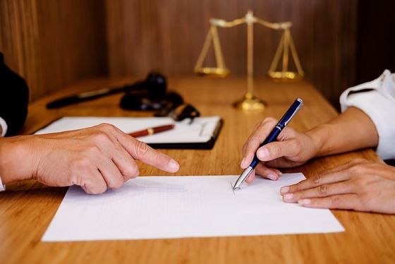 lawyer explaining his customer