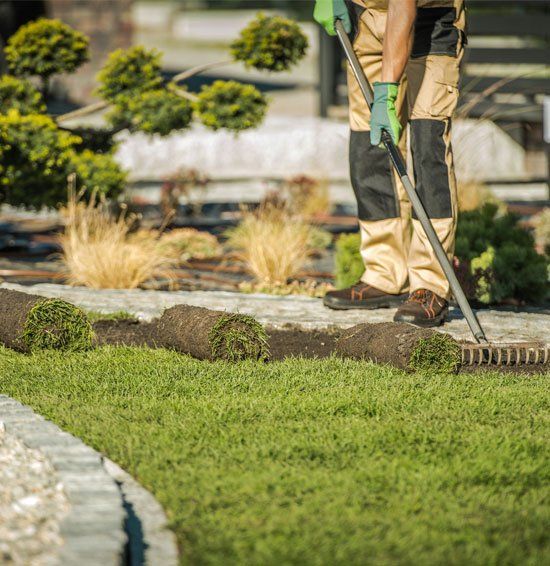 Contractor Installing Sod For New Lawn — Greer, SC — Smith Irrigation & Landscaping Contractor Installing Sod For New Lawn — Greer, SC — Smith Irrigation & Landscaping