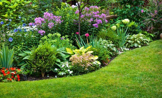 Small Garden — Greer, SC — Smith Irrigation & Landscaping Small Garden — Greer, SC — Smith Irrigation & Landscaping