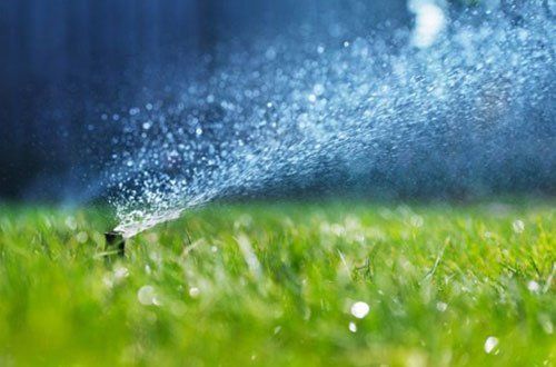 Sprinkler Head Spraying Water — Greer, SC — Smith Irrigation & Landscaping Sprinkler Head Spraying Water — Greer, SC — Smith Irrigation & Landscaping