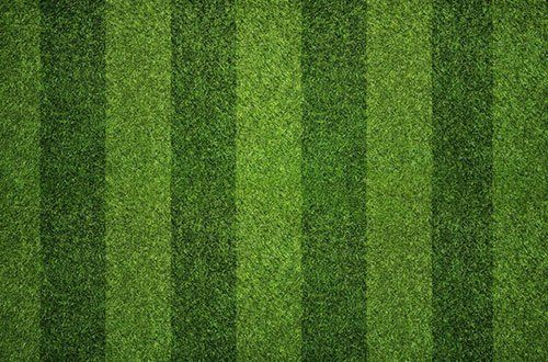 Striped Grass — Greer, SC — Smith Irrigation & Landscaping Striped Grass — Greer, SC — Smith Irrigation & Landscaping