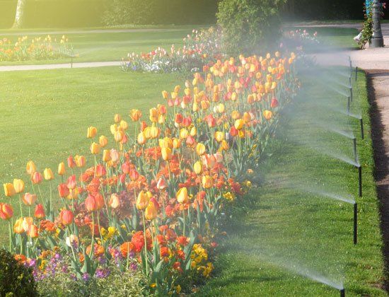 Garden with Automatic Irrigation System — Greer, SC — Smith Irrigation & Landscaping Garden with Automatic Irrigation System — Greer, SC — Smith Irrigation & Landscaping
