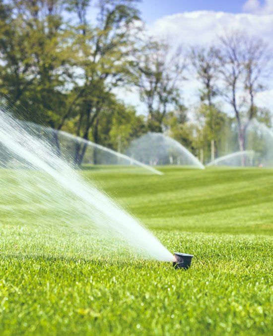 Watering Green Grass — Greer, SC — Smith Irrigation & Landscaping Watering Green Grass — Greer, SC — Smith Irrigation & Landscaping